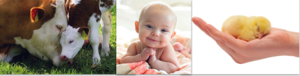 screen-shot-2016-11-30-at-10-49-46